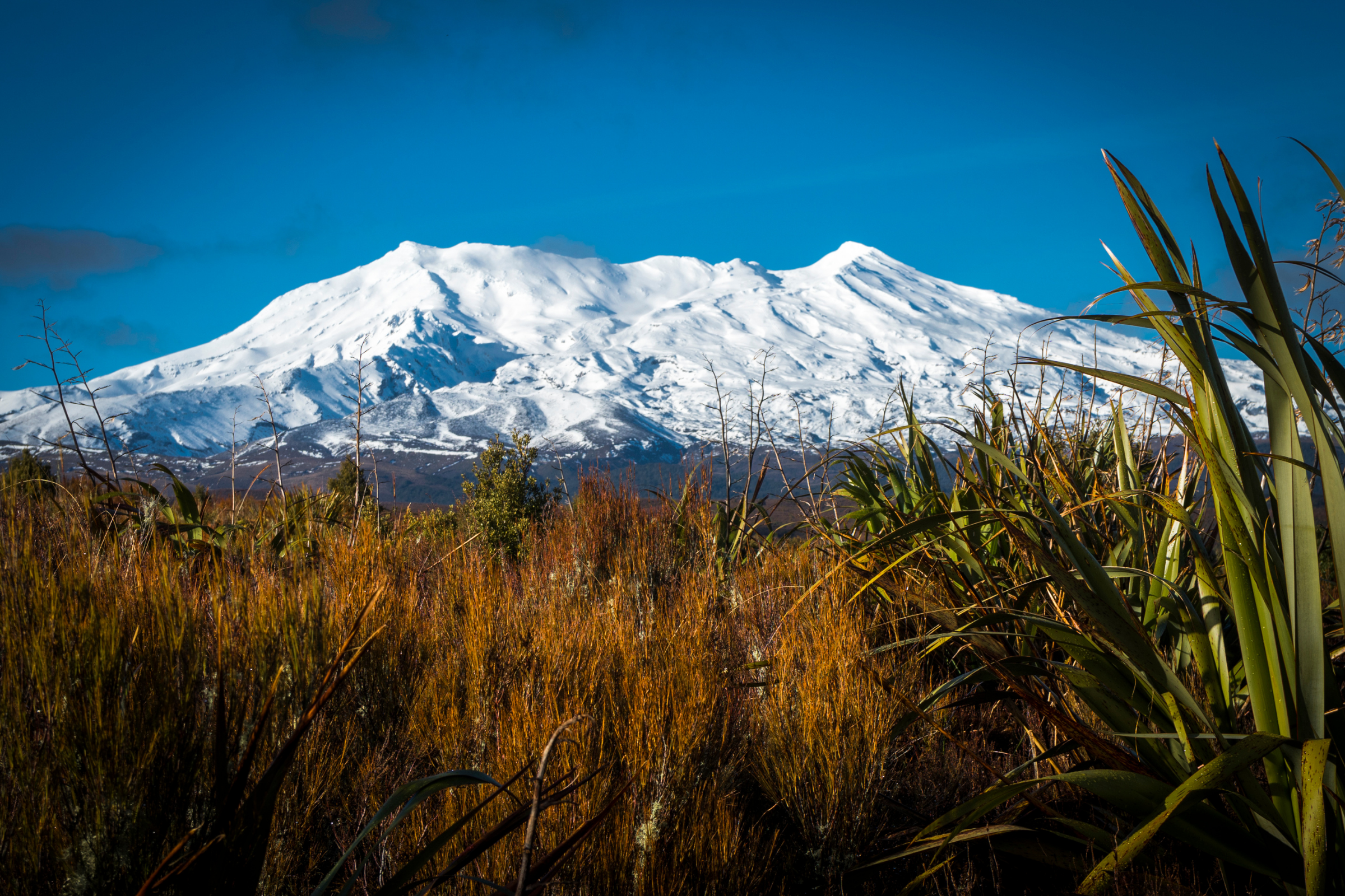 mount ruapehu (2).webp